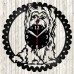 Yorkshire Terrier Vinyl Clock 